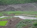 Irrigated fields of Uttarakhand (Source: IWP Flickr Photo)