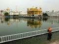 A devotee takes a dip in the holy sarovar