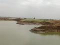 Sand mining in the Narmada valley