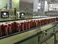 Coca Cola bottling plant (Source: S. Subramanium) 
