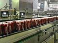 Coca Cola bottling plant (Source: S. Subramanium via Hindu)