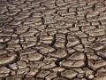 Staring at drought (Source: Wikimedia Commons)