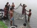 Fishermen use wastewater of Kolkata to rear fish (Image Source: India Water Portal)