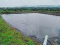 Farm ponds, often touted as magic wands to tackle water scarcity, have raised a number of concerns (Image Source: Ninad Sargar)