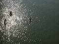Boys wait to collect coins thrown into the Ganga at Kanchla, Uttar Pradesh.