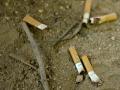 Discarded cigarette butts on a beach. (Source:Wikimedia Commons)