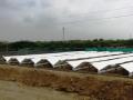 A view of the dew harvesting plant at Kothara.