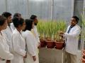 Dr Ashwani Pareek and his team that developed the rice. (Photo: ISW)
