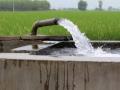 Farmers in Punjab to be compensated monetarily for drawing less water from tubewells. (Picture courtesy: Wikimedia Commons)
