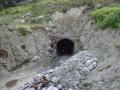 People believe that tunnels such as these cause irreversible damages to the environment.