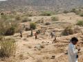 Labourers build check dams under MGNREGA. (Source: IWP Flickr Photos) 