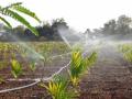 Micro-irrigation and its impact on groundwater (Image Source: India Water Portal)