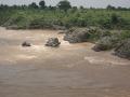 Narmada river (Source: Wikipedia commons)