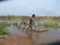 Phailin raises groundwater in Andhra (EU-ECHO)