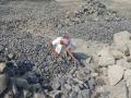 Labourers crush stones at illegal stone quarries. (Pic: Gurvinder Singh)