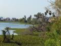 Sembakkam lake currently spans across a 100 acres in South Chennai. (Picture courtesy: Care Earth Trust)