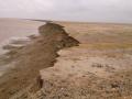 Erosion in high tidal mudflats. (Pic courtesy: ISW)