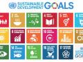 Sustainable Development Goals adopted in 2015 as a part of the 2030 agenda. (Source: Wikipedia Commons)