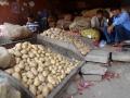 More than potatoes, it's the seed that Punjab is famous for.