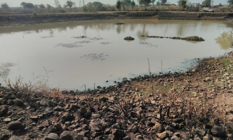 The efforts have resulted in the revival of the ponds. (Image: FES)