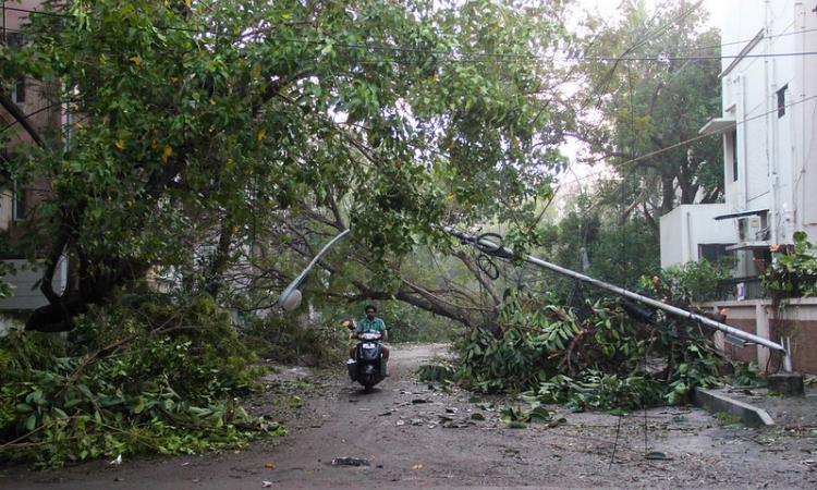 Fallen lampost and trees lay sprawled across the road after a cyclone (Image Source: IWP Flickr Photos)
