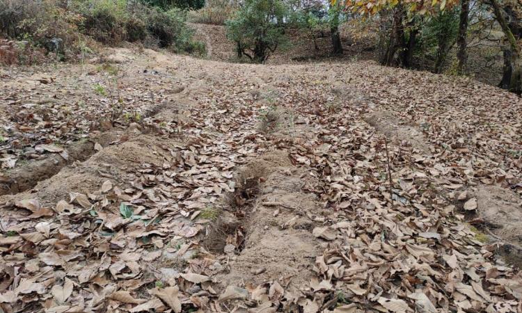 Construction of trenches in the catchment area of Jongjong Gapsa Ri (Image: Phurpa Sangey)