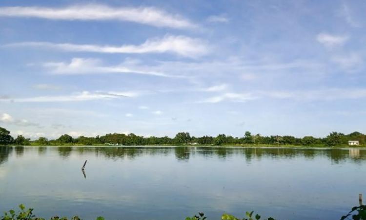 Lakhimpur pond (Image: Authors)