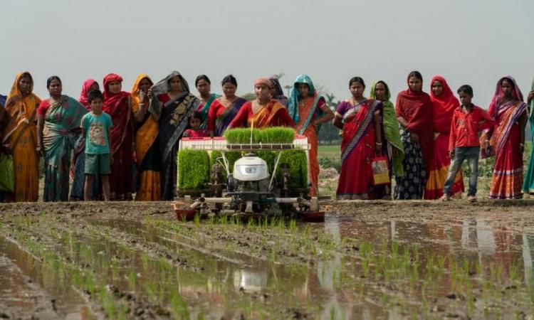 Promoting socially inclusive and sustainable agricultural intensification in West Bengal and Bangladesh (Image: ACIAR)