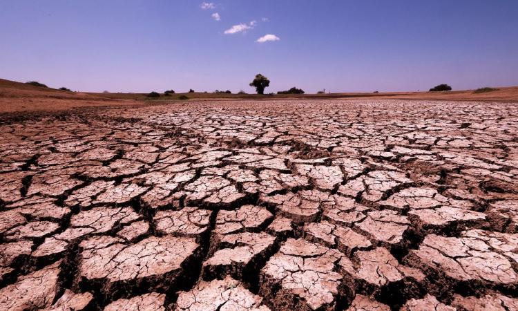 India, vulnerable to droughts (Image: Pixabay; hbieser)