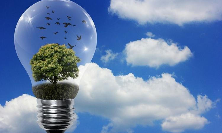 There is a need to facilitate the shift more efficiently towards renewable energy adoption globally (Image: Pixabay)