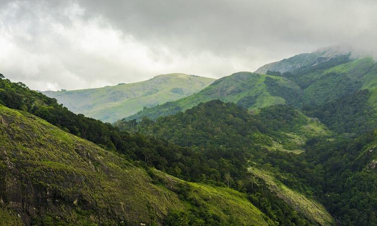 Climate change is intensifying the need for a landslide prediction system based on meteorology. (Image: Western Ghats, Kerala; Source: Shagil Kannur, Wikimedia Commons)