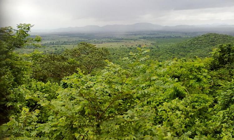 Shrinking forests of Odisha (Image Source: Wikimedia Commons)