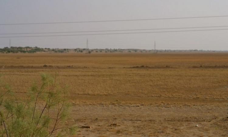 Can greening of barren lands happen? (Image Source: India Water Portal Flickr photos)