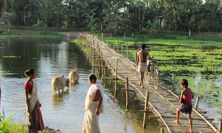 Floods are recurrent phenomena in Assam (Image: Mitul Baruah)
