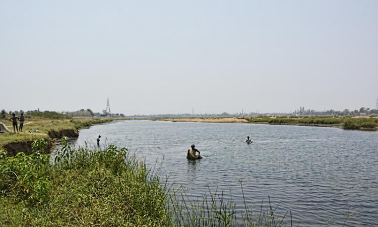 River Mahanadi in Chhattisgarh (Image source: IWP Flickr photos)