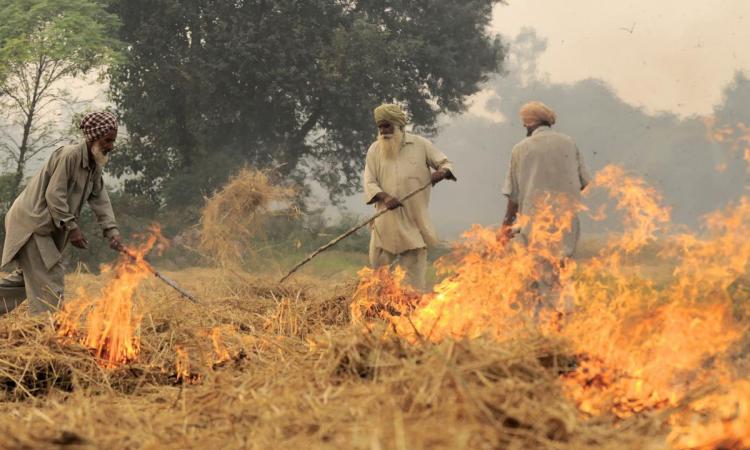 Burning of rice residues in south east Punjab, prior to the wheat season(Image: CIAT/NeilPalmer via Flickr Commons)
