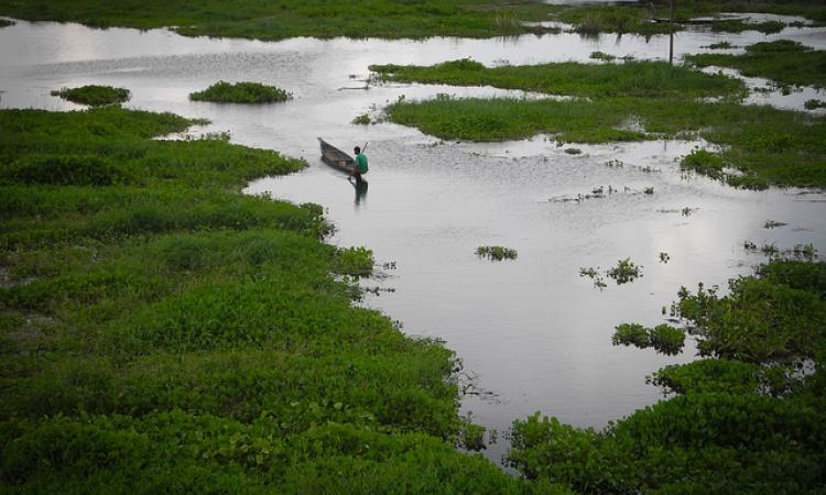 A wetland in Assam. (Source: IWP Flickr Photos)
