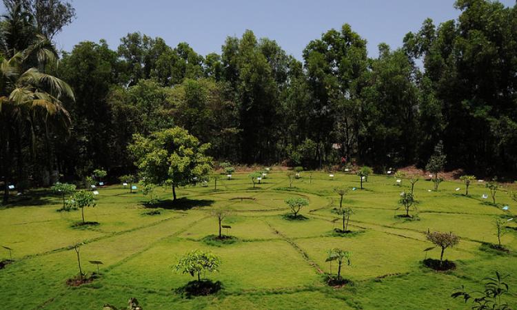 The Nakshatra Garden