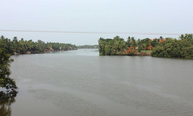 River Sal in Goa (Source: Joel's Goa Pics via Flickr)