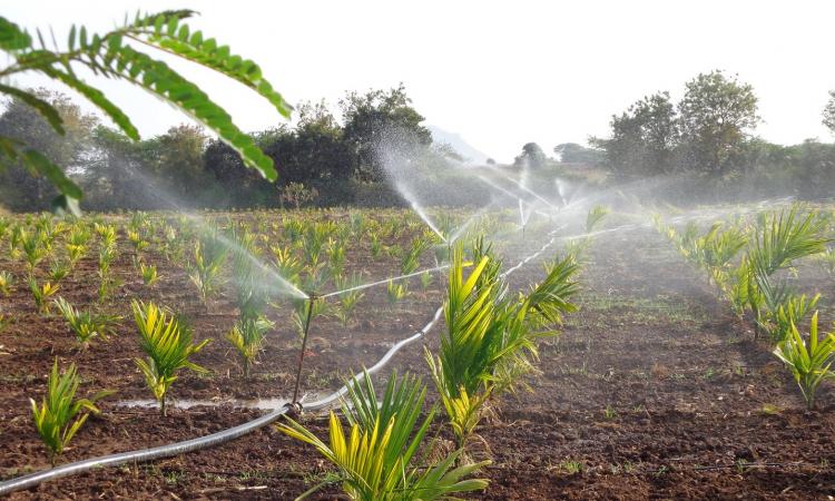 Sprinklers cover 2.86 percent of total irrigation land in India