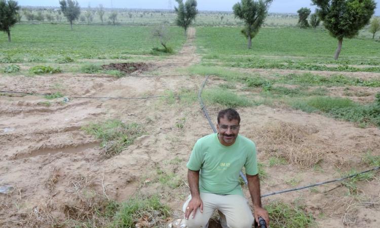 Farmer Sunil Bishnoi has seen a five times rise in income from his farm thanks to drip irrigation.