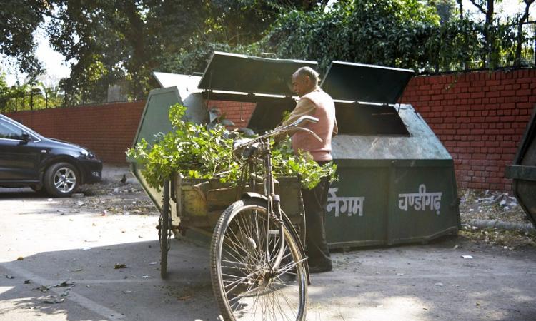 Chandigarh does not have a specific waste segregation system yet.