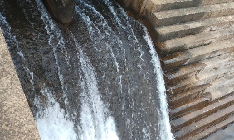 Water flows into the dam. (Photo courtesy: Gurvinder Singh)