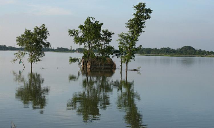 Flood in Bihar. (Source: IWP Flickr Photos)