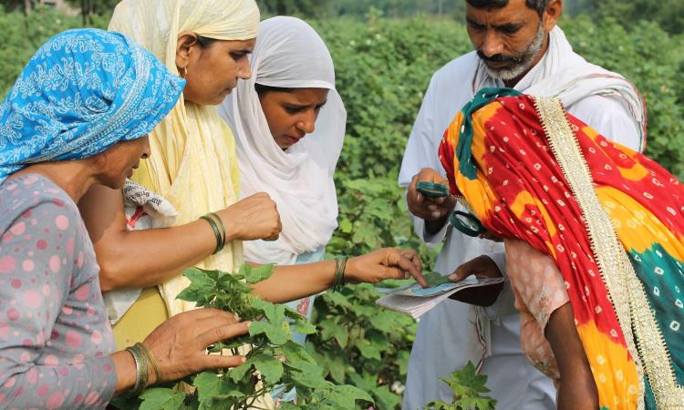 Women farmers studying insects during a class (Source: Keet Saksharta Mission)