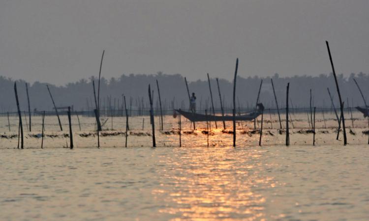 A view of the Chilika in the evening.