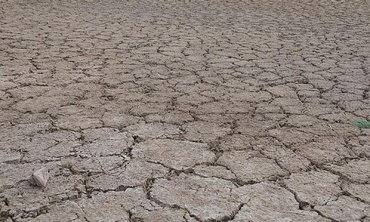 Centre issues drought advisory to six states (Source: IWP Flickr photos)