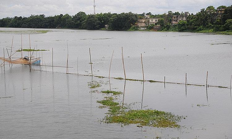 A water body in Assam (Source: IWP Flickr Photos)
