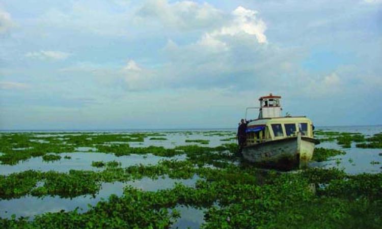 Vembanad lake in Kerala (Source: ATREE via IWP Flickr photos)