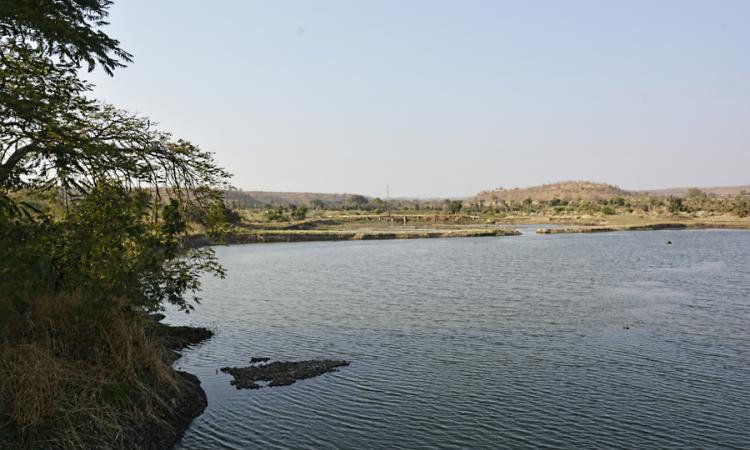 Nilona dam, Yavatmal